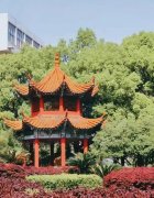 岳阳单招补习学校招生办电线单招培训机构十大